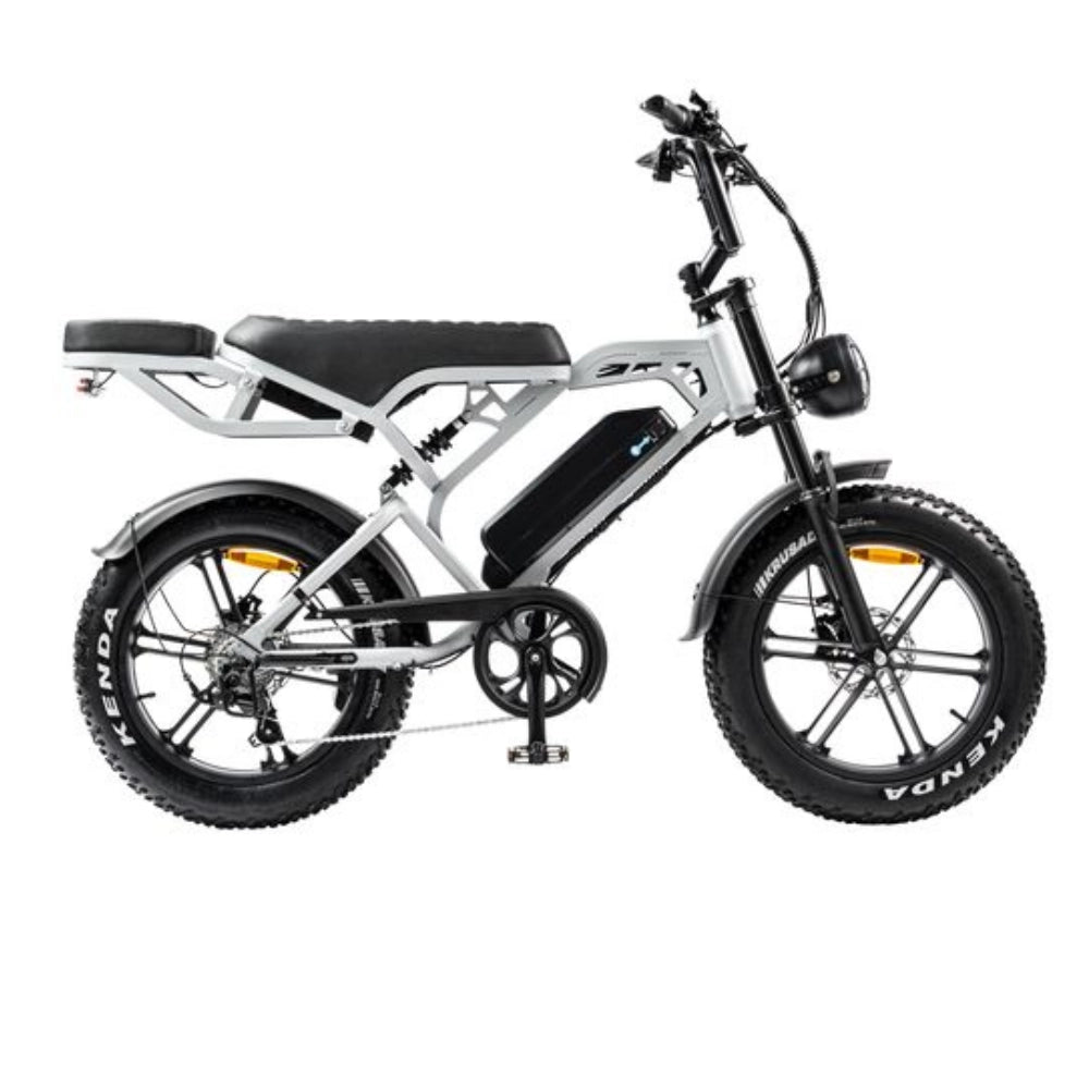 V20 Pro Fatbike | 250W | Lichtgrijs | Elektrische fatbike