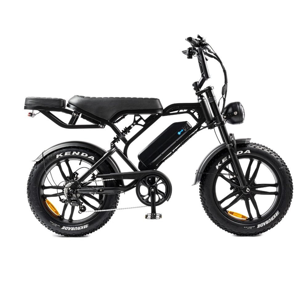 V20 Pro 2025 | Elektrische Fatbike | 250W | Zwart