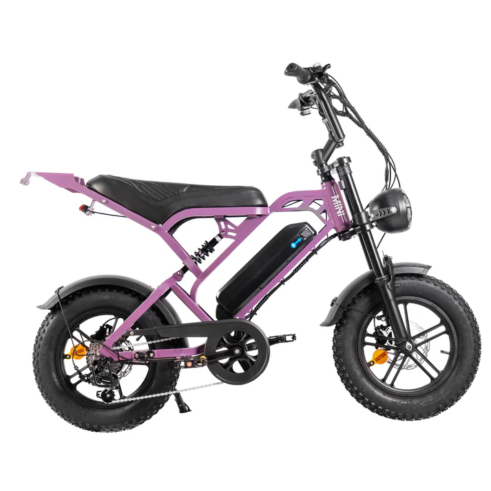 V20 Pro Mini - Paars